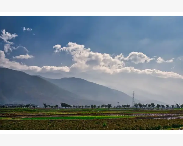 栏目结构搭建的核心思路_产业互联网驱动B2B企业转型新趋势