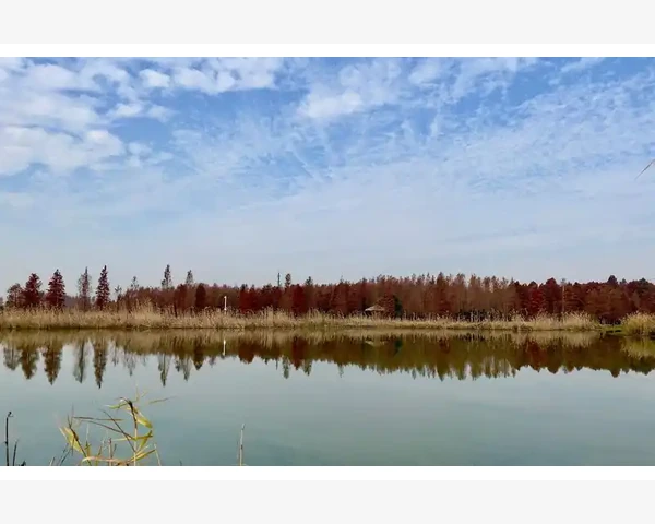 客户沟通,把每个询盘都当回事_华为B2B业务从企业市场到行业生态的跃迁