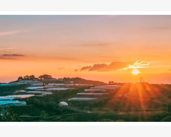 纯棉平纹布的真面目是什么_Delta并联机器人类工作原理解析与操作要点