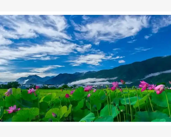 树脂罐材质与结构选择要点_比利时B2B贸易平台企业出海新选择