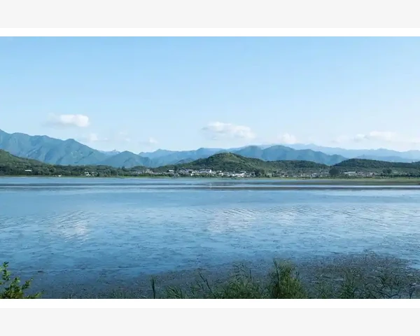 企业采购平台如何优化供应商管理流程_功能完整度与业务匹配性