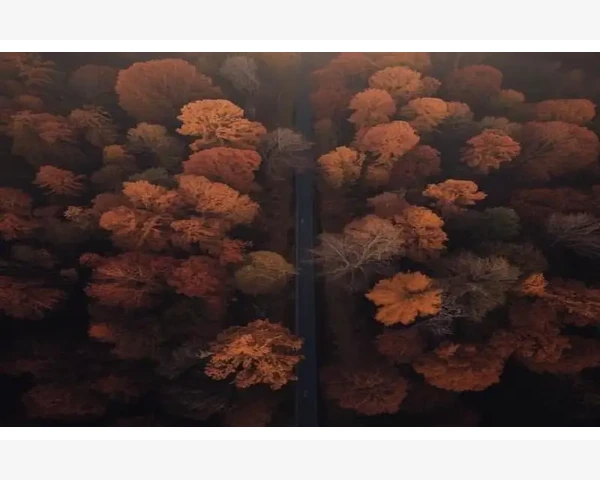B2B网站架构设计的核心要点_优化通讯协议降低不必要的能量消耗