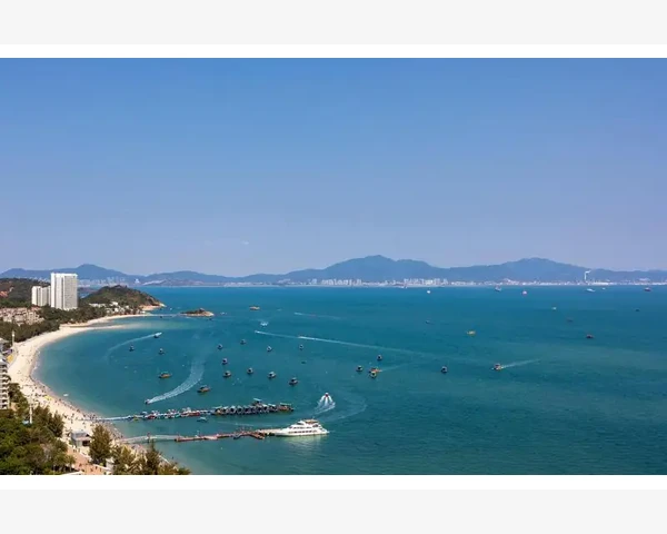 优化销售与市场协同流程_进口B2B电商平台运营实战要点