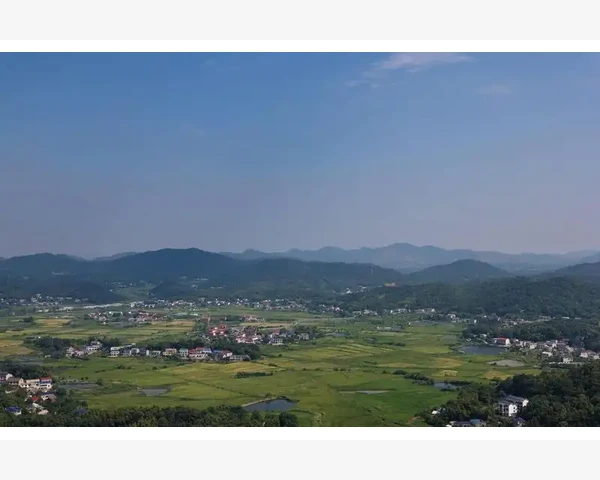 客户开发与复购维护方法_B2B汇总指南企业采购高效运作全流程