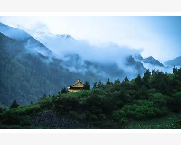 MT4强平后浮动盈亏如何结算