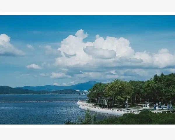 阿里巴巴国际站:全球采购的首选之地_装修B2B平台选品对接与高效运营全流程